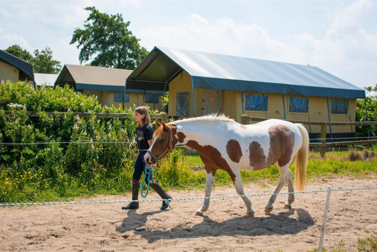 A girl leads a horse along a sandy path at FarmCamps Fleur Stables with glamping tents in the background.