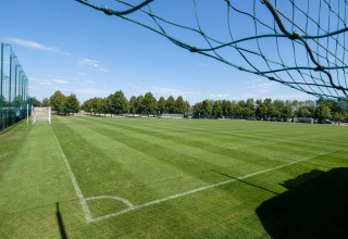 Campo da calcio con rete e alberi al Camping Terme Catez, regione Bassa Sava, Slovenia.