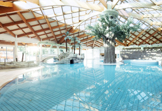 Indoor swimming pool with trees, bridge, and sunlight at Camping Terme Catez holiday park in Slovenia.