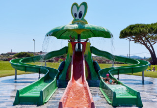 Turtle-themed water slide at Camping Village Baia Blu La Tortuga holiday park in Sardinia, Italy.