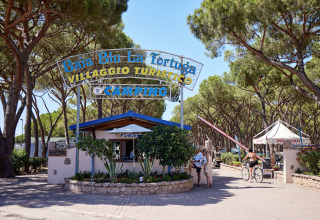 Indgang til Camping Village Baia Blu La Tortuga i Sardinien, Italien, omgivet af fyrretræer og gæster.