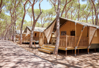 Glampingtelte under fyrretræer ved Camping Village Baia Blu La Tortuga, en feriepark på Sardinien, Italien.