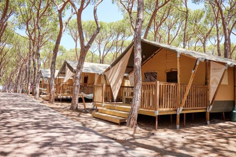 Glampingtelte under fyrretræer ved Camping Village Baia Blu La Tortuga, en feriepark på Sardinien, Italien.