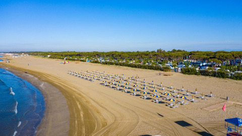 Spiaggia del Camping Village Cavallino in Veneto, Italia, con ombrelloni, sabbia e pineta sullo sfondo.