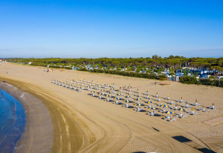 Spiaggia del Camping Village Cavallino in Veneto, Italia, con ombrelloni, sabbia e pineta sullo sfondo.