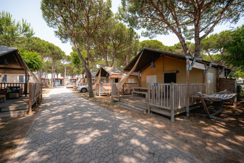 Viale alberato tra bungalow in legno al Camping Village Cavallino, villaggio turistico in Veneto, Italia.