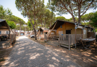 Viale alberato tra bungalow in legno al Camping Village Cavallino, villaggio turistico in Veneto, Italia.
