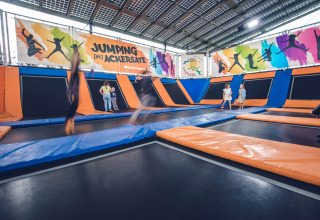 Indendørs trampolinpark med børn og voksne, der hopper, hos Holiday Park Ackersate i Gelderland, Holland.