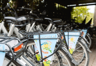 Cykler parkeret på Holiday Park Ackersate i Gelderland, Holland, et populært feriemål for besøgende.