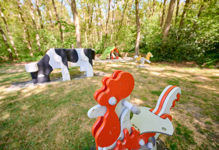 Legeplads med farverige legeredskaber og dyrefigurer i naturen på Holiday Resort de Bronzen Emmer i Drenthe.