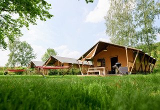 Glamping-Zelte und Hängematten auf grüner Wiese im Parc de Witte Vennen, Limburg, Niederlande.