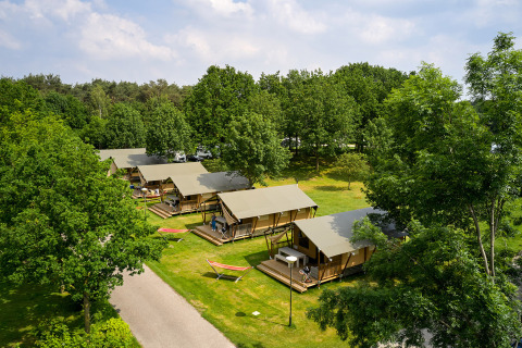 Vue aérienne de tentes glamping entourées d’arbres au Parc de Witte Vennen, Limburg, Pays-Bas.