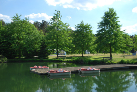 Pedalbåde ved en bådebro på en sø i Parc de Witte Vennen, omgivet af grønne træer i Limburg, Holland.