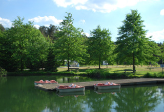 Pedal boats docked at a pier on a lake in Parc de Witte Vennen, Limburg, Netherlands, with green trees.