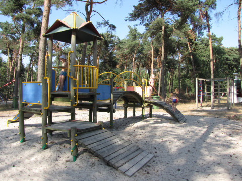 Niños juegan en un parque infantil de madera con arena, rodeado de altos pinos en un parque boscoso.