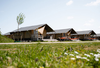 Safaritenten met terrassen en hangmatten bij vakantiepark RCN de Schotsman in Zeeland, Nederland, zonnige dag.