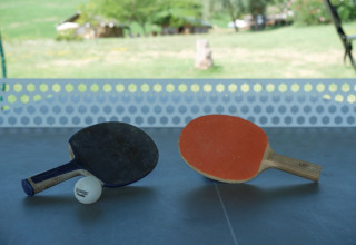 Twee pingpongbatjes en een bal op een tafel met zicht op weilanden in Tenuta Tredici Ulivi, Marche, Italië.