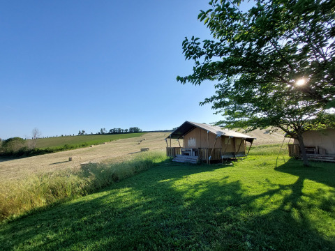 Vakantietenten op Tenuta Tredici Ulivi in Marche, Italië, tussen groene weides onder een zonnige blauwe hemel.