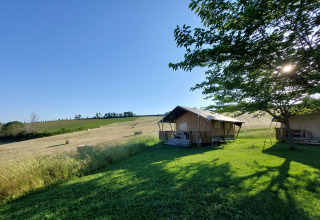 Urlaub im Tenuta Tredici Ulivi in Marche, Italien: Safarizelte am Feldrand unter blauem Himmel und hellem Sonnenschein.
