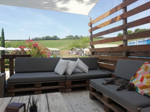 Zona lounge exterior con sofás grises, cojines coloridos y un gato en Tenuta Tredici Ulivi, Marche, Italia.