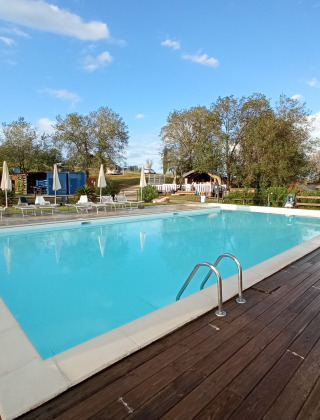 Piscina al aire libre con tumbonas y sombrillas en Tenuta Tredici Ulivi, parque vacacional en Marche, Italia.