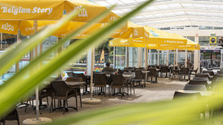 Terras met gele parasols en tafels bij Recreatieoord Wilhelm Tell in Belgisch Limburg, België.