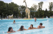 Folk nyder en swimmingpool med dyrefigurer, herunder en giraf og en zebra, i belgisk feriepark.
