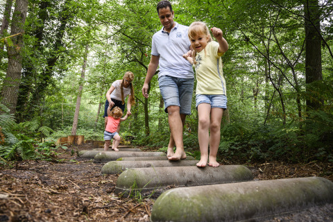 Family balancing barefoot on logs in a forest at Recreatiepark de Lucht, Utrecht, Netherlands.