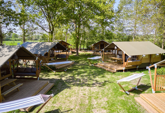 Glamping telte og hængekøjer i grønne omgivelser på Recreatiepark de Lucht i Utrecht, Holland.