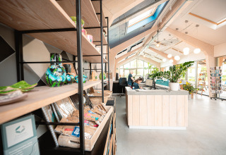 Modern reception i ferieparken De Nollen i Nordholland med lyst interiør, planter og souvenirs på hylder.