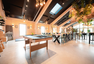 Heldere gemeenschappelijke ruimte met biljarttafel, eetgedeelte en planten in Vakantiepark De Nollen.