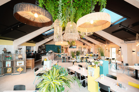 Café moderno y luminoso con plantas y lámparas colgantes en Vakantiepark De Nollen, Holanda Septentrional.