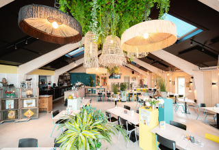 Lys og moderne café med grønne planter, hængende lamper og naturligt lys i Vakantiepark De Nollen, Holland.