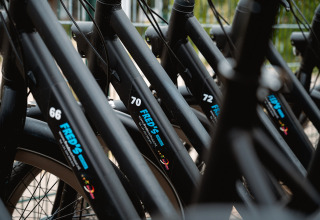 Fila de bicicletas negras con etiqueta 'FRED'S' en Vakantiepark De Nollen, Holanda Septentrional, Países Bajos.