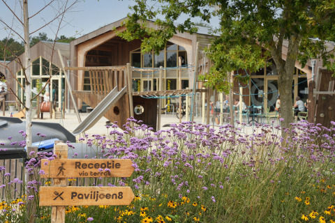 Blumenbeet und Holzschild im Ferienpark De Nollen, Holland, mit Spielplatz und Terrasse im Hintergrund.