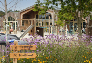 Blumenbeet und Holzschild im Ferienpark De Nollen, Holland, mit Spielplatz und Terrasse im Hintergrund.