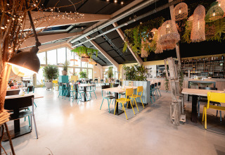 Licht en modern restaurant met planten en kleurrijke stoelen in Vakantiepark De Nollen, Noord-Holland.