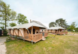 Foto von luxuriösen Zelten und Hängematten im Vakantiepark De Nollen, einem Ferienpark in Nordholland, Niederlande.
