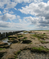 Paisaje costero cerca de Bredebro, Dinamarca del Sur, con bancos de arena y barrera de madera junto al mar.