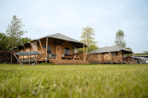Safari tent Villatent Cottage at Holiday Park Ackersate, Netherlands, with grassy lawn and wood deck.