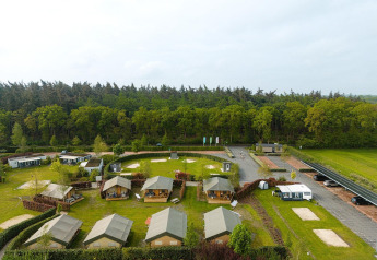 Vue aérienne des tentes safari Villatent Nomad au Holiday Park Ackersate, près d’une forêt aux Pays-Bas.