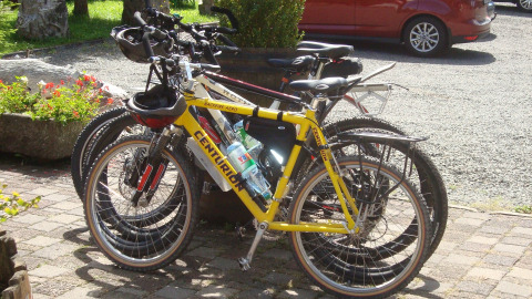 Due biciclette parcheggiate al Camping Bockenauer Schweiz in Germania, con fiori e un'auto rossa sullo sfondo.