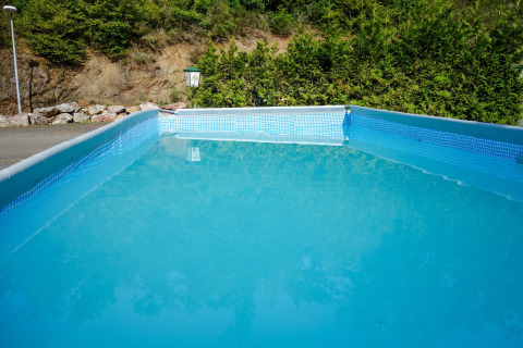 Piscina rectangular en Camping Bockenauer Schweiz, Renania-Palatinado, rodeada de vegetación y naturaleza.