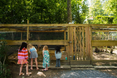 Quattro bambini guardano dentro un recinto per animali al Camping de Chênefleur, Belgio Lussemburgo, tra alberi verdi.