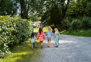 Vier Kinder gehen auf einem Weg im Ferienpark Camping de Chênefleur, Belgien Luxemburg.