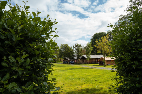 Prato verde e bungalow al Camping de Chênefleur, parco vacanze in Lussemburgo belga, Belgio.