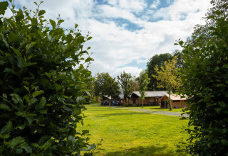 Groene grasvelden en lodges in Camping de Chênefleur, een vakantiepark in Belgisch Luxemburg, België.