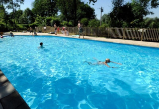 Piscina al aire libre con niños y adultos nadando y jugando, rodeada de árboles en un día soleado en Bélgica.