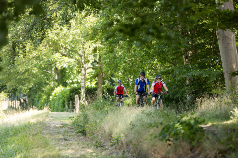 Tre ciclisti percorrono un sentiero nel bosco a Vakantiepark de Twee Bruggen, Gelderland, Paesi Bassi.