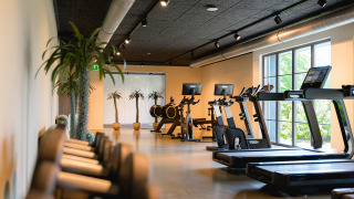 Salle de sport moderne avec tapis de course, vélos et grandes fenêtres à Vakantiepark de Twee Bruggen.